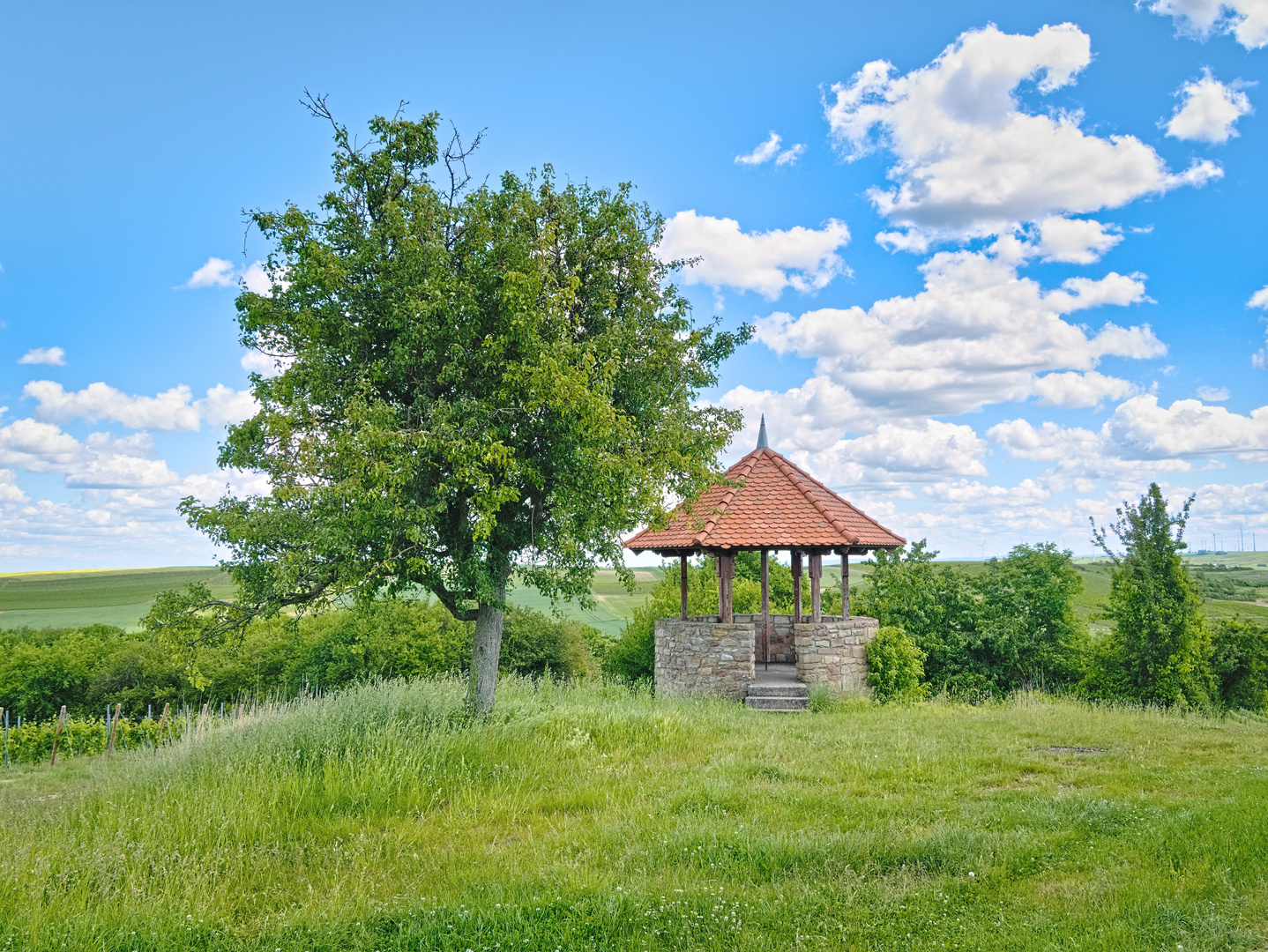 Heimersheimer Weinbergsturm