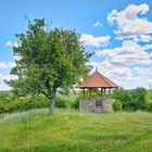 Heimersheimer Weinbergsturm