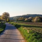 Heimfahrt in der Abendsonne 2015