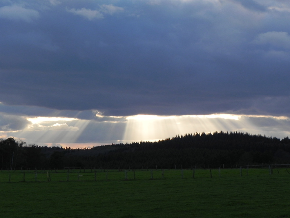 Heimfahrt vom Hochsitz : Regenversprechen