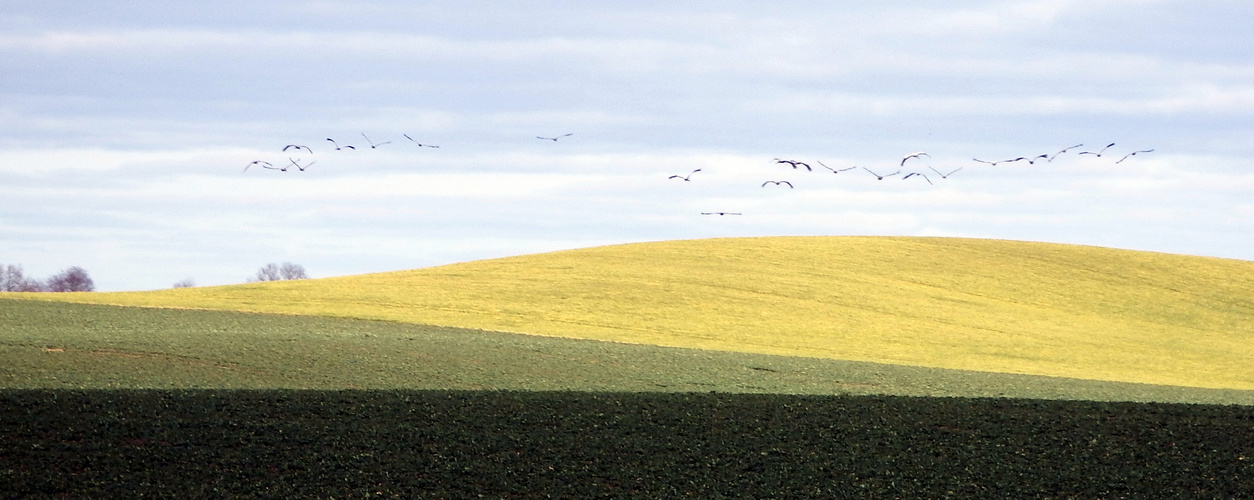 Heimflug