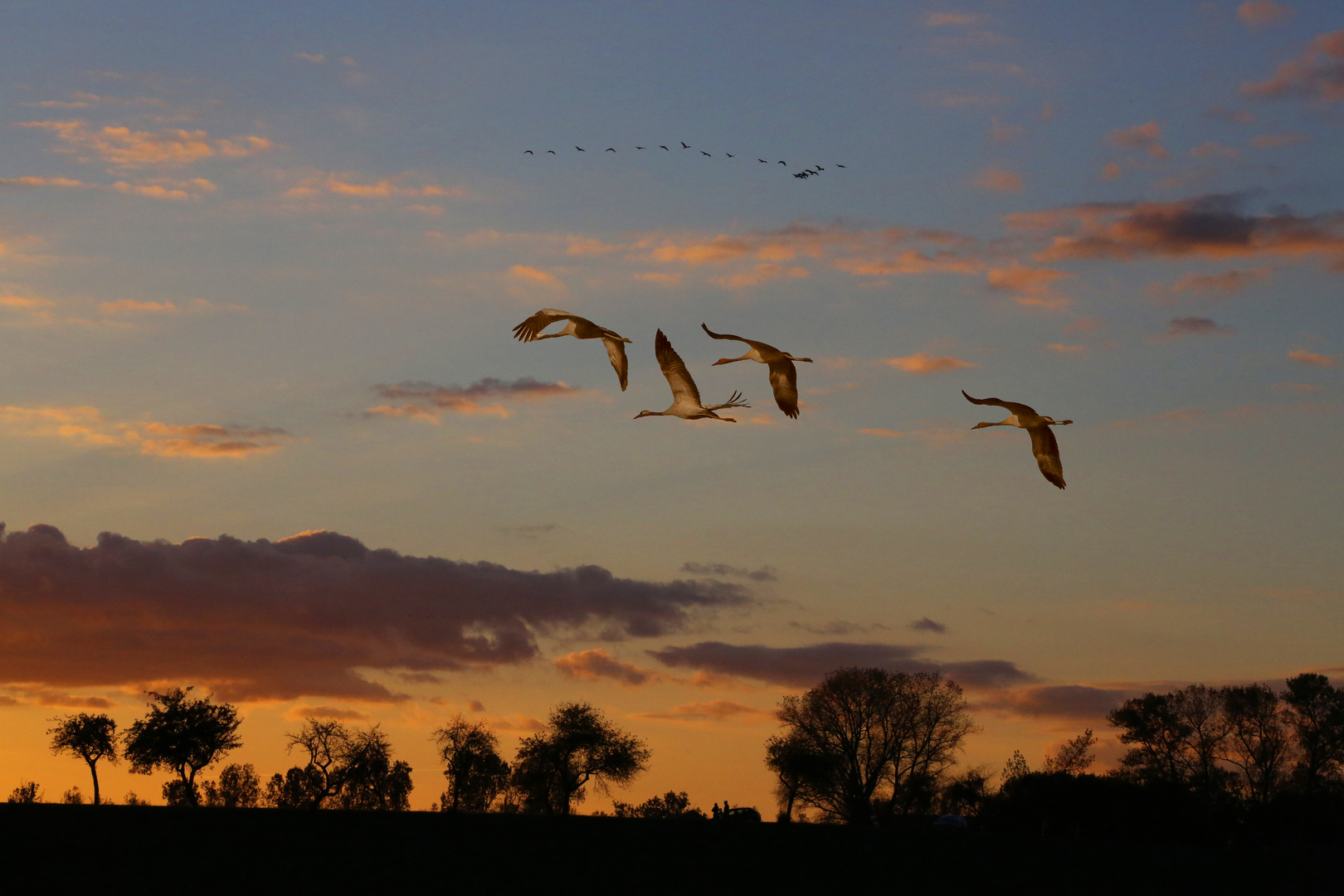 Heimflug