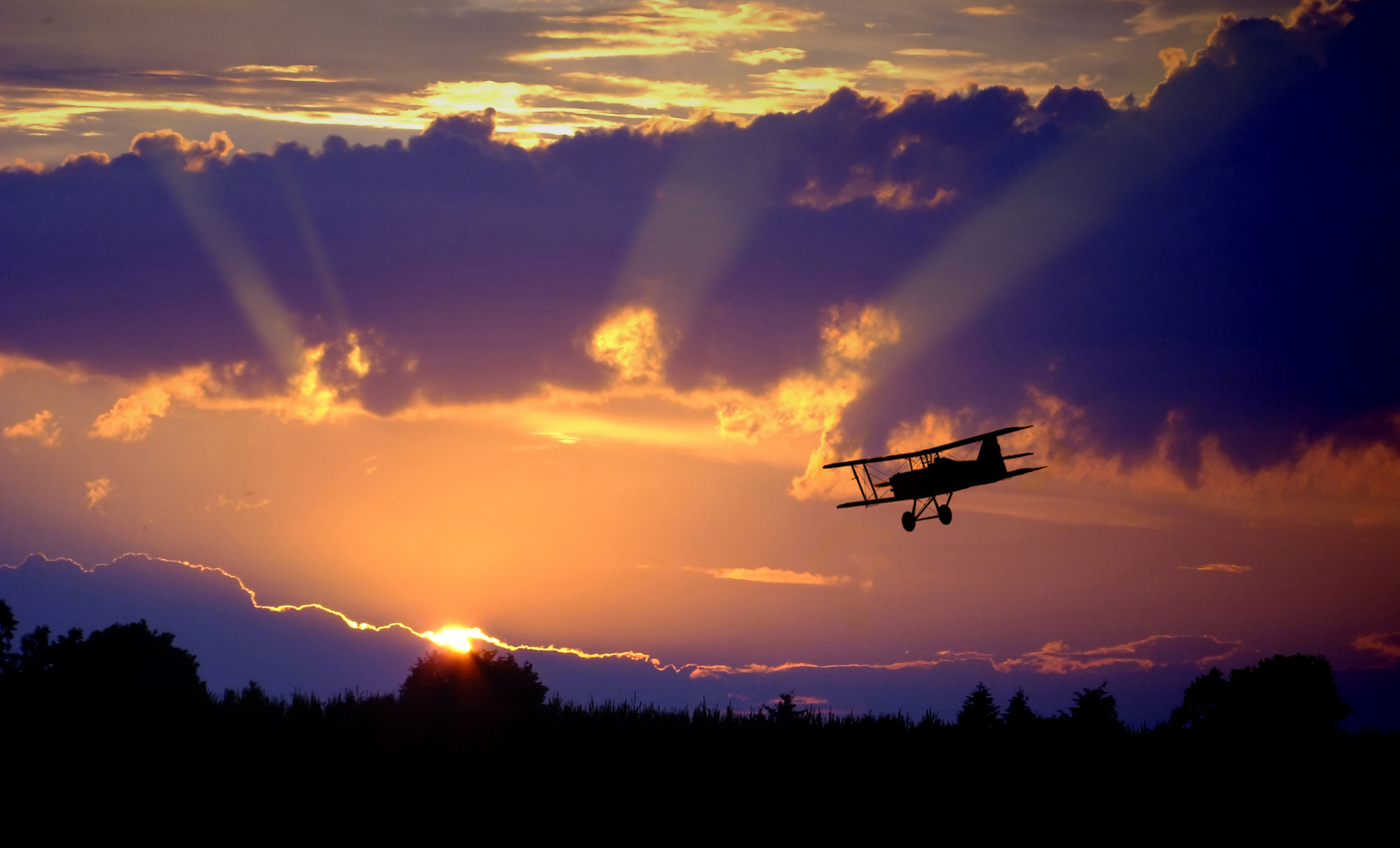 Heimflug am Abend 