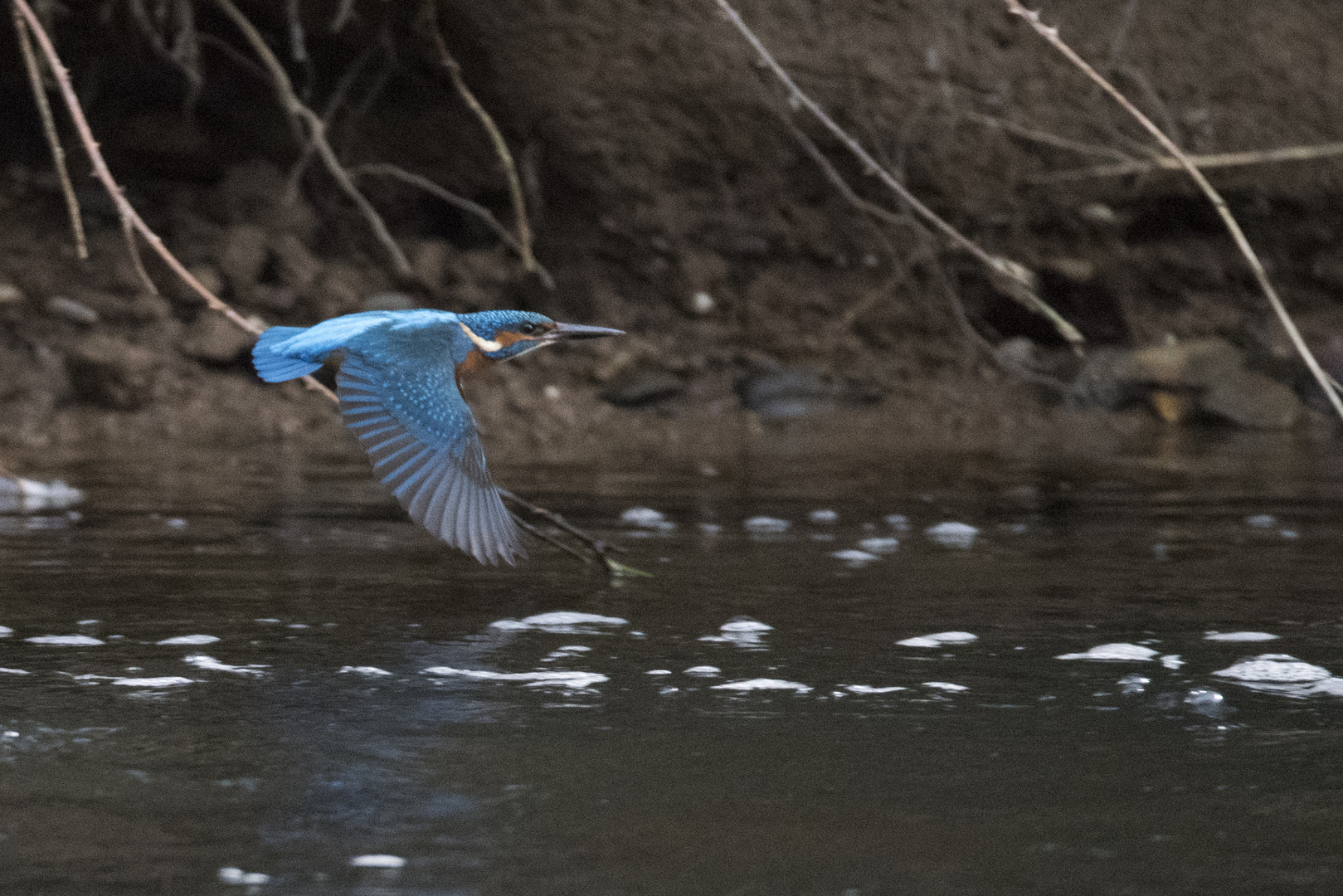 Heimflug