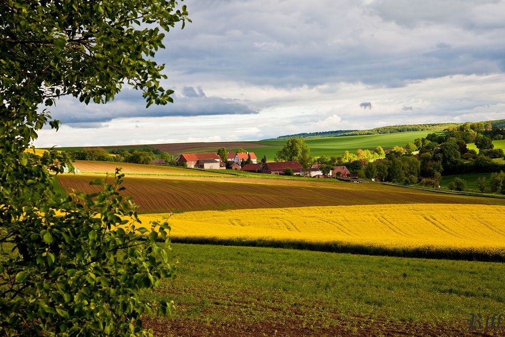 Heimische Landschaft # 2