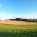 heimische Natur als Panorama *neu*