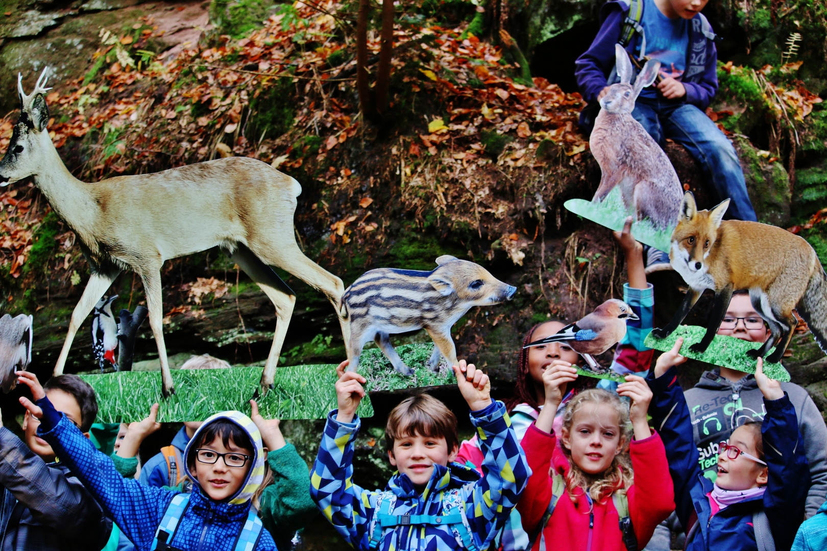 Heimische Wildtiere