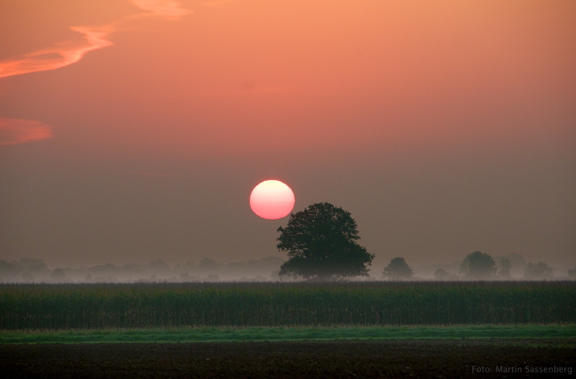 Heimischer Sonnenaufgang