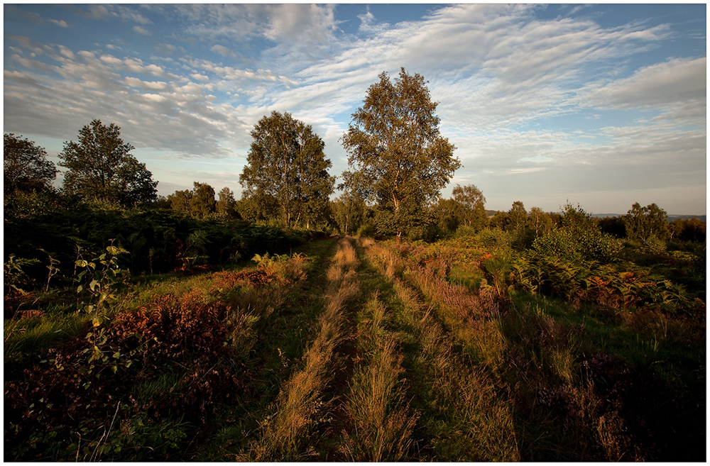 heimischer Spätsommer Spätnachmittagspaziergang 1