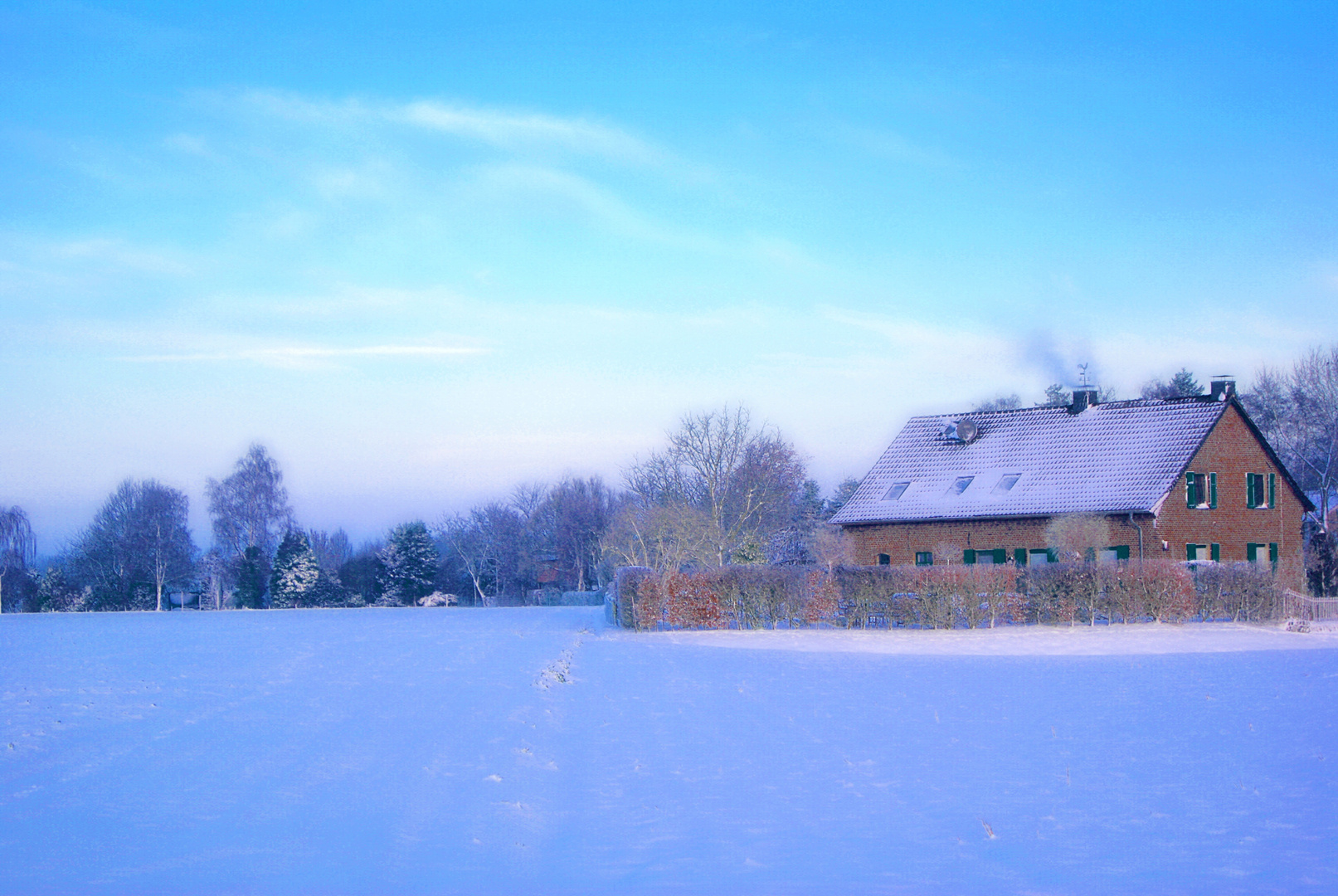 Heimischer Winter