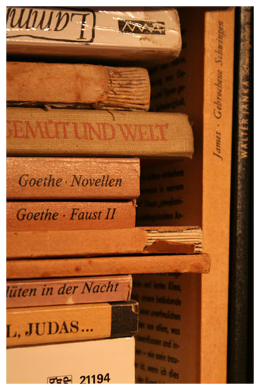 Heimisches Bücherregal