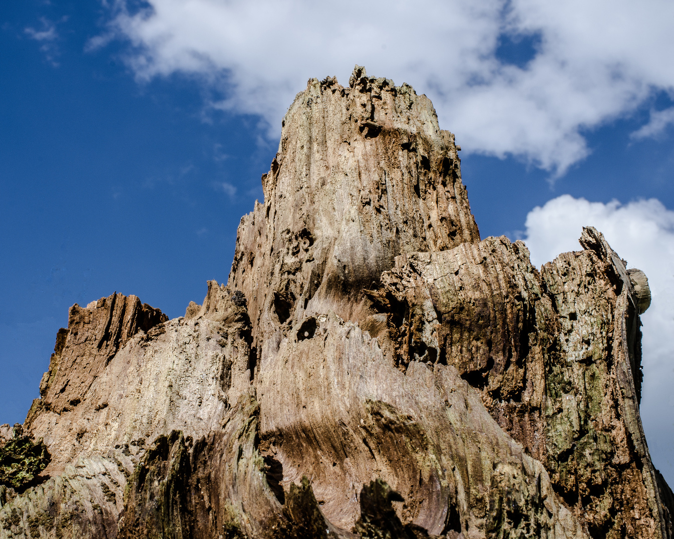 heimisches Holzgebirge