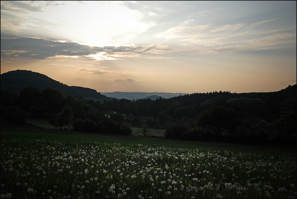 - heimkehr -