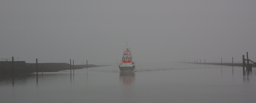 Heimkehr im Nebel