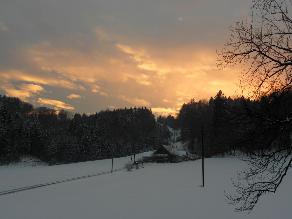 Heimkommen am Abend.