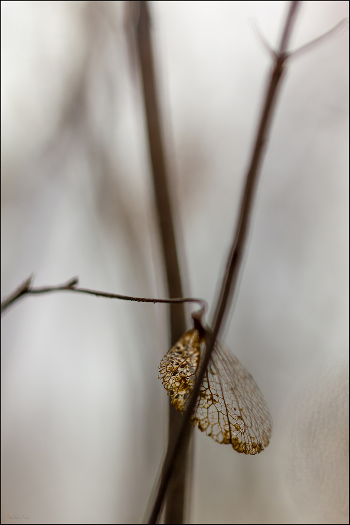 Heimlich, still und leise 