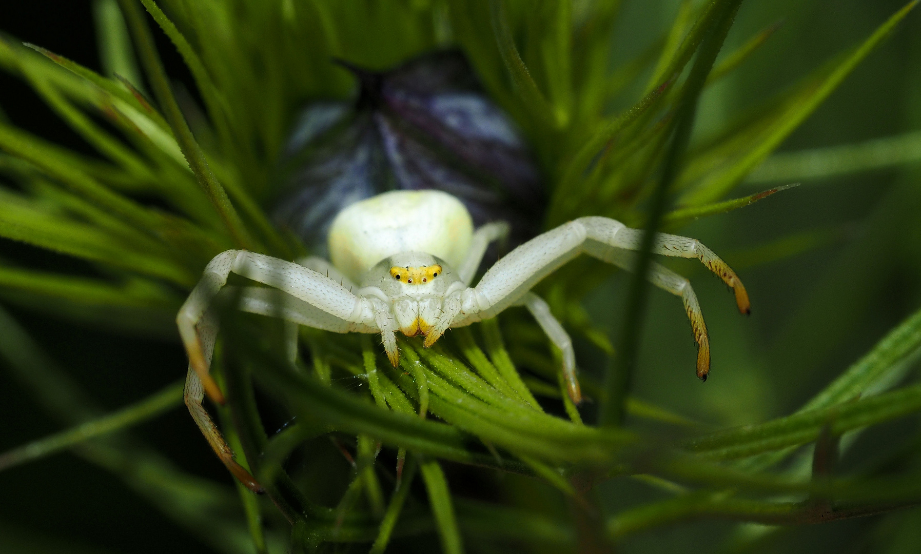 Heimlich versteckt ...