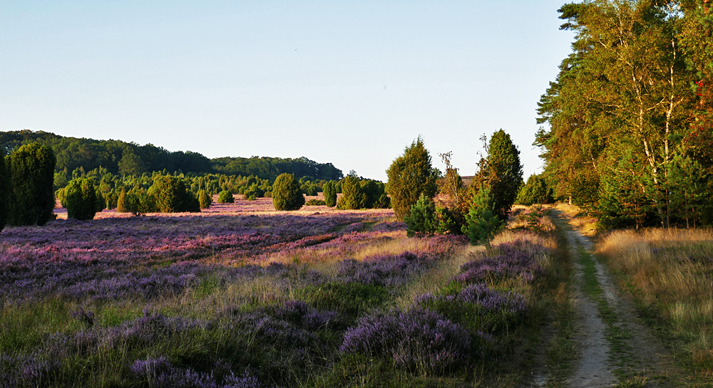 Heimreise von Sylt 2019