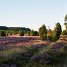 Heimreise von Sylt 2019