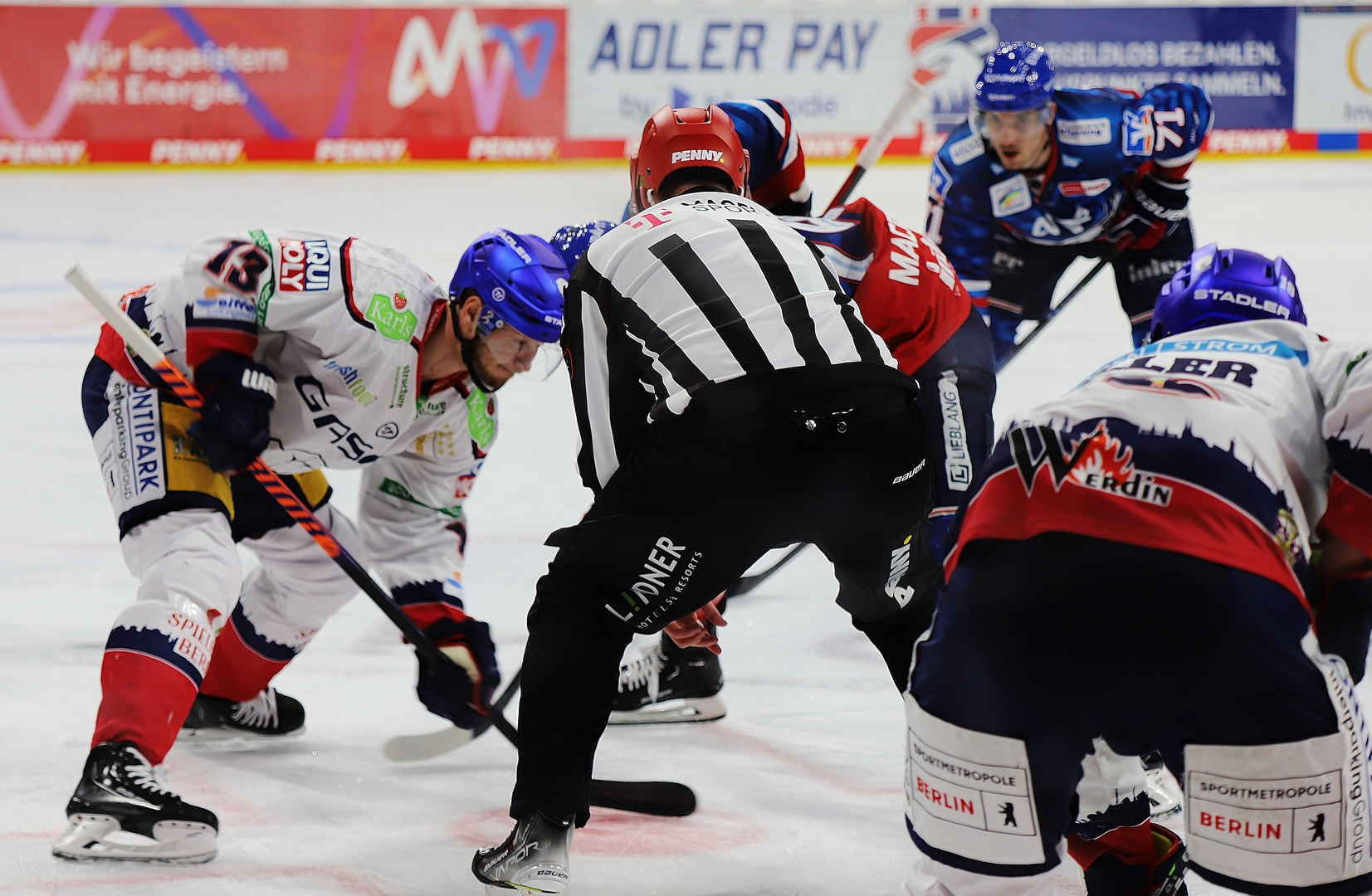 Heimspiel Adler Mannheim 24.02.2023/ SAP- Arena (3)