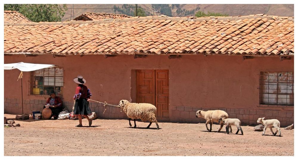 heimwärts Foto & Bild | erwachsene, menschen bei der ...