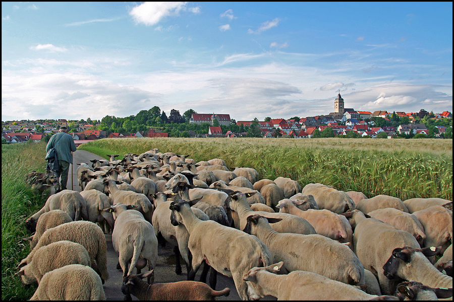 Heimwärts ziehen