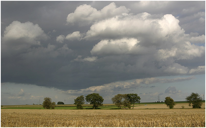 Heimweg # 2 (8347)