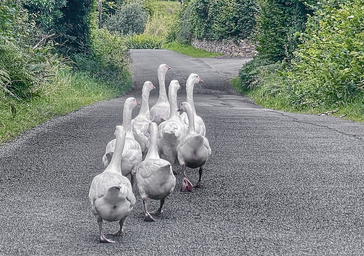 Heimweg