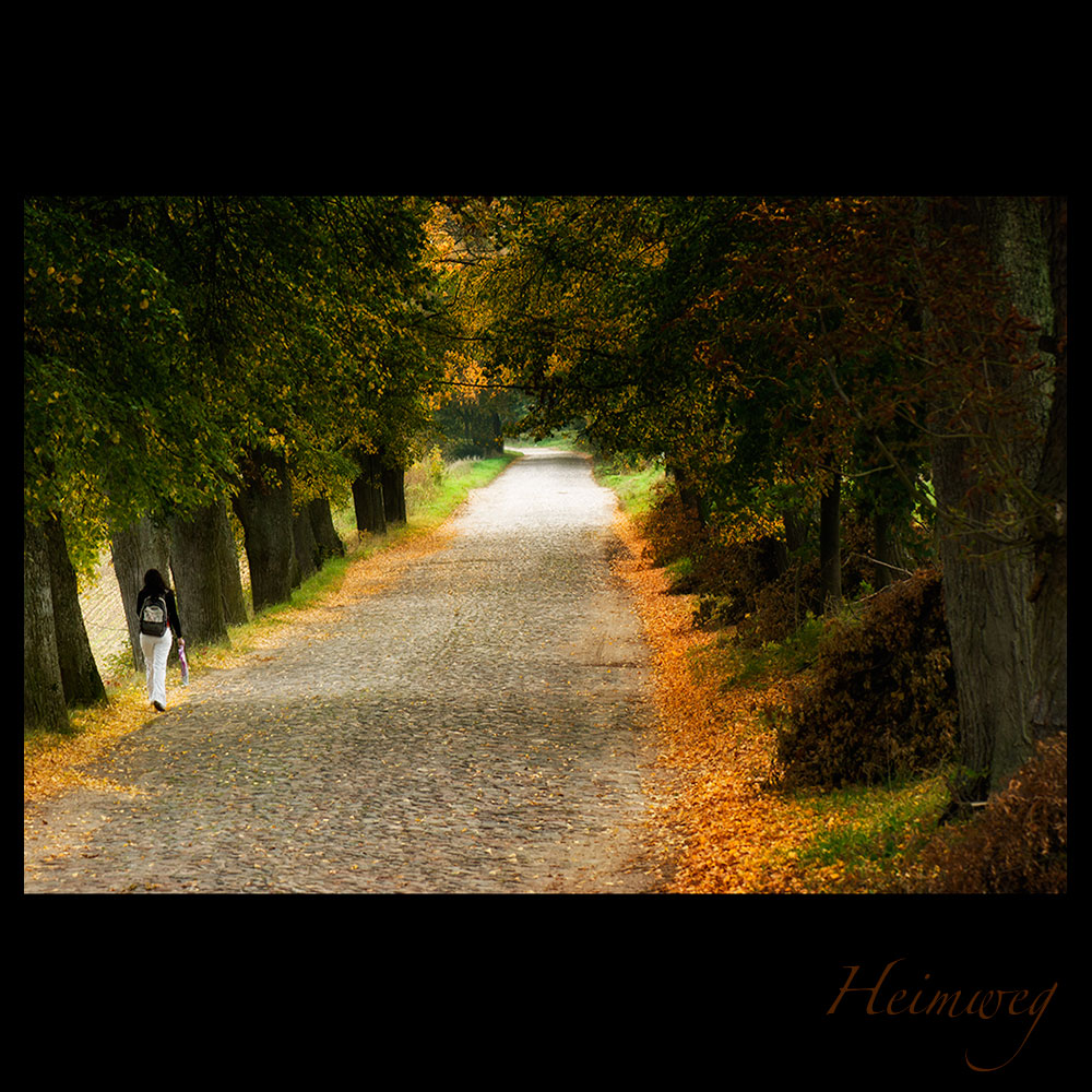 - Heimweg -