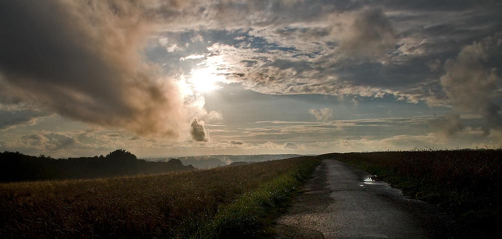 Heimweg