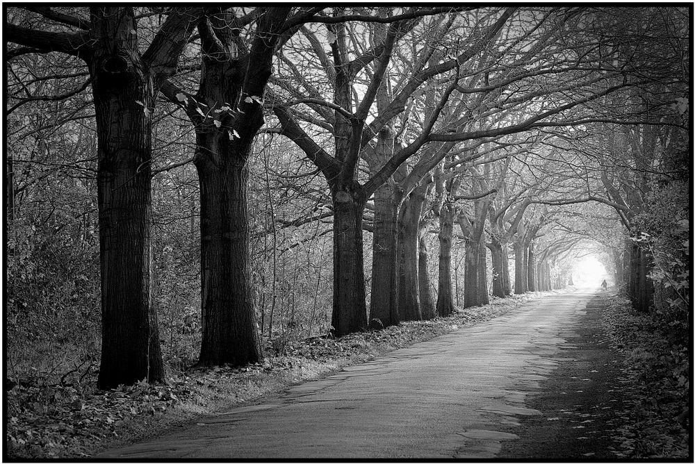 Heimweg von Marco Wetzel