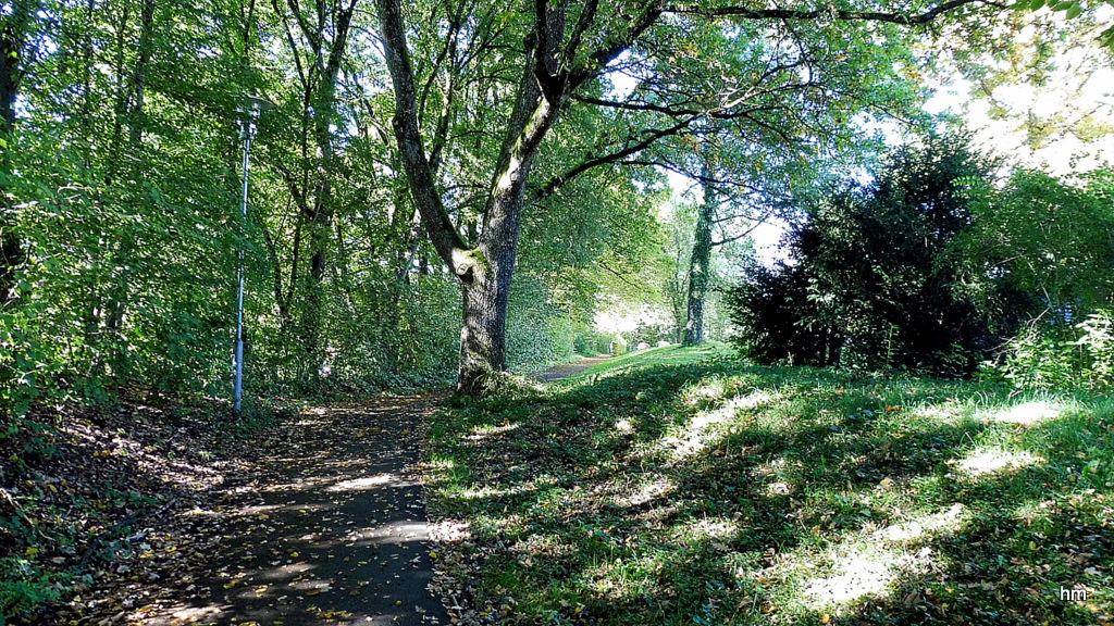 Heimweg im Herbst