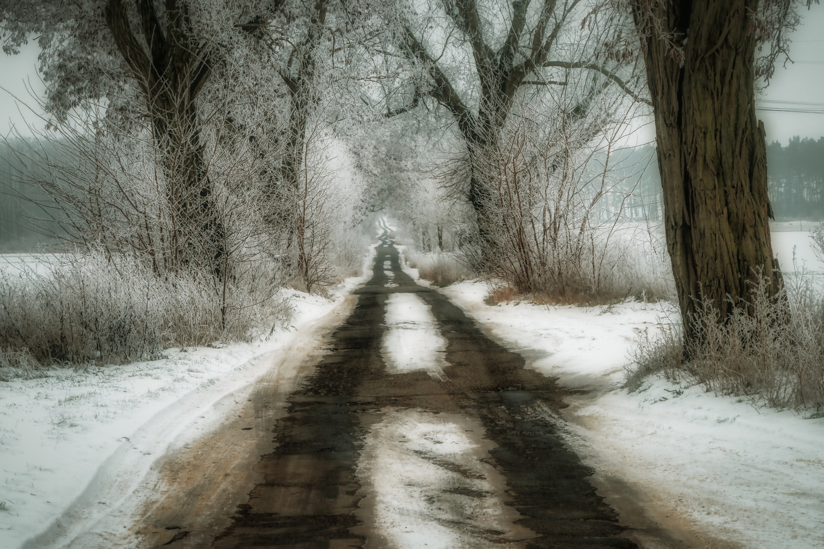 Heimweg im Winter