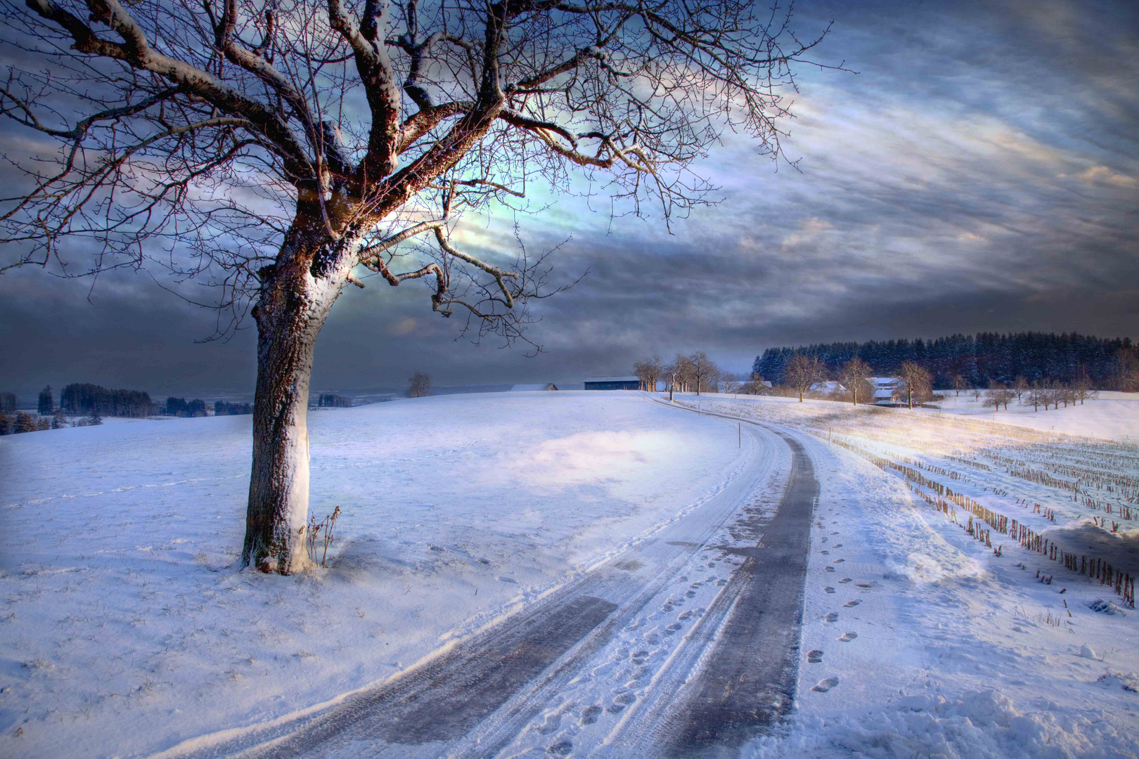 Heimweg im Winter
