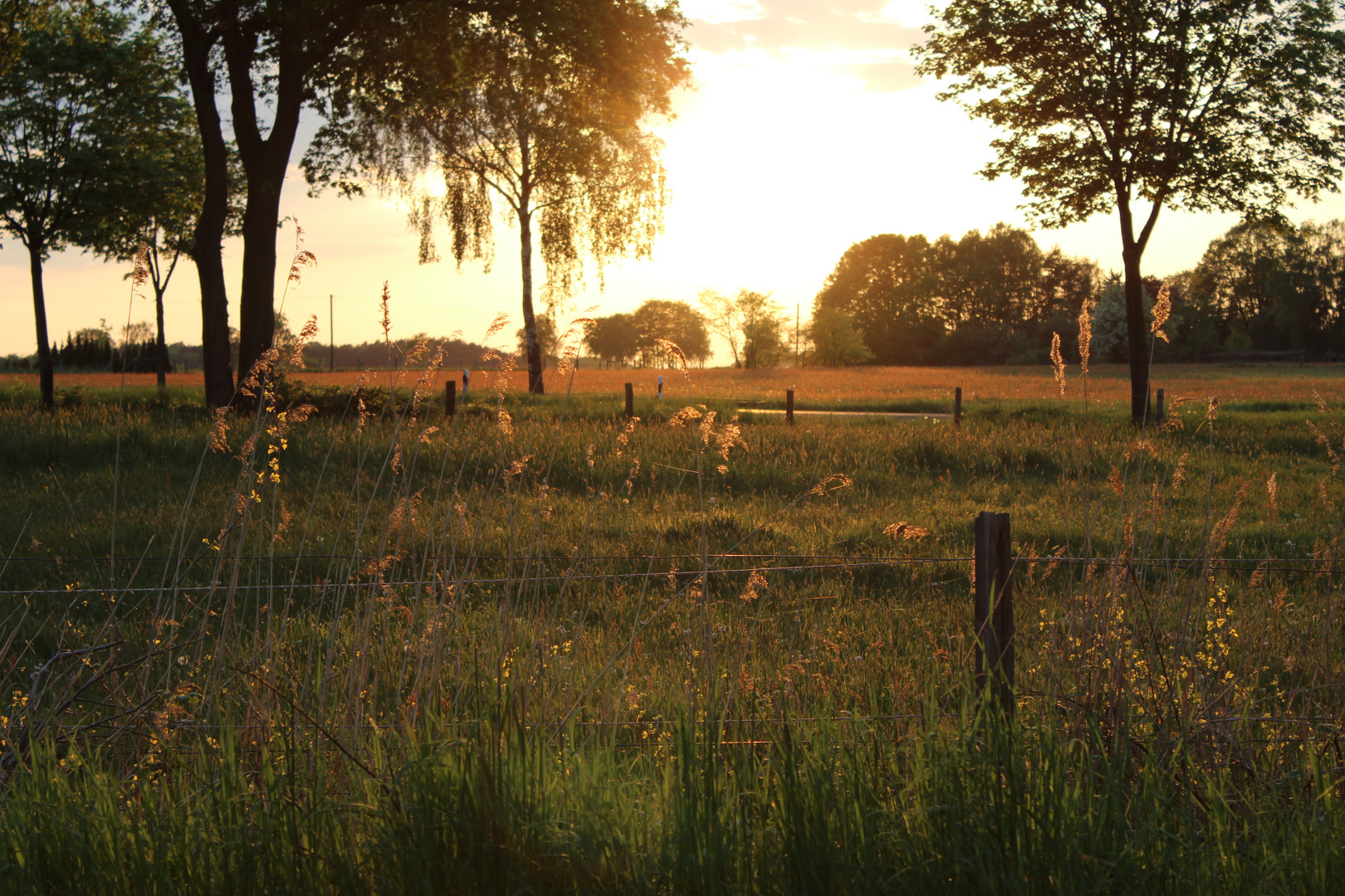 Heimweg in der Abenddämmerung