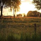 Heimweg in der Abenddämmerung