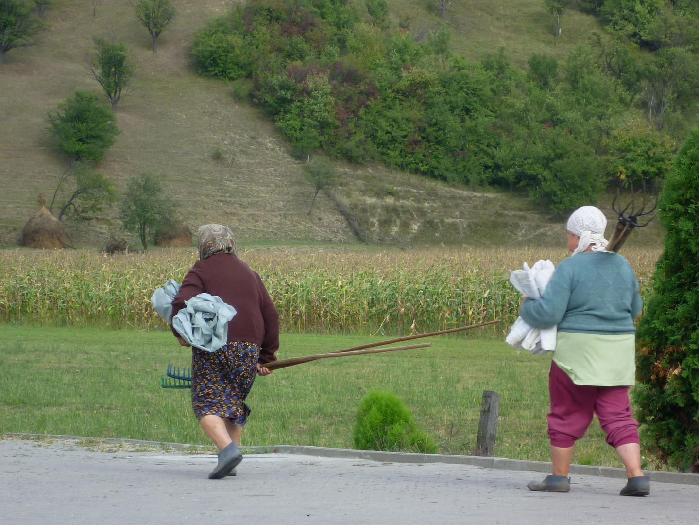 Heimweg vom Feld