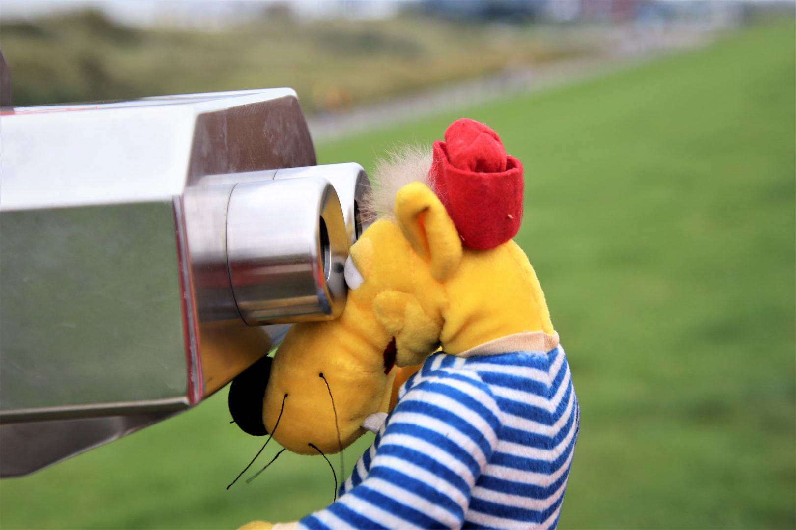 Hein Blöd ist begeistert... Foto & Bild quatsch, fun und rätselecke, urlaub, fotos Bilder auf Hein Blöd ist begeistert... Foto & Bild quatsch, fun und rätselecke, urlaub, fotos Bilder auf