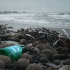 Heineken Flasche am Strand