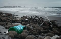 Heineken Flasche am Strand