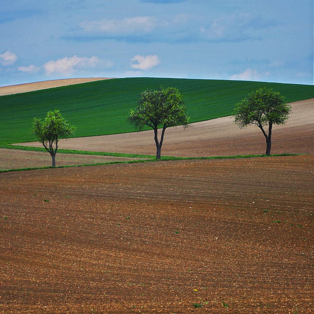 Heinigstetten