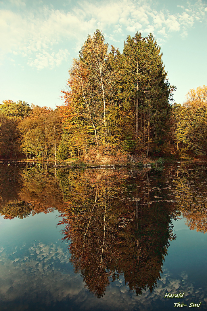 Heinitzer Weiher im Herbst