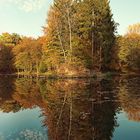 Heinitzer Weiher im Herbst