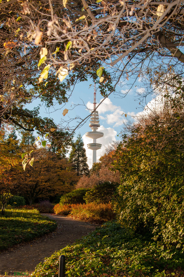 Heinrich-Hertz-Turm Hamburg