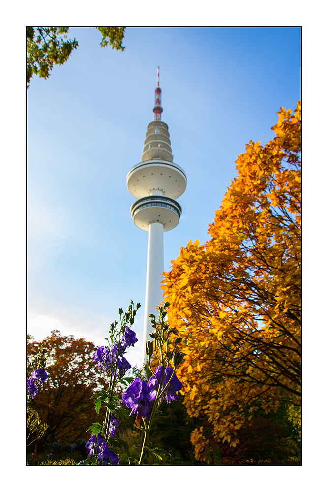 Heinrich-Hertz-Turm im Herbst