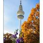 Heinrich-Hertz-Turm im Herbst