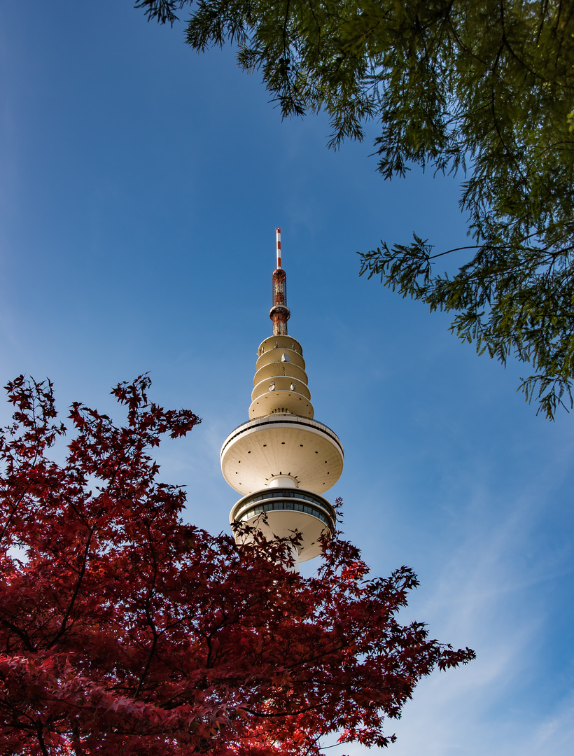 Heinrich im Herbst