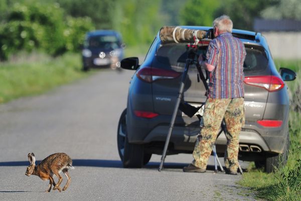 Heinz an Canon 4/600, 24.5. 2019