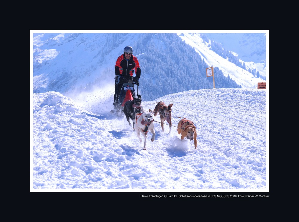 Heinz Frauchiger, 2. Platz 4-Hunde-Klasse am Int. Schlittenhunderennen in LES MOSSES, Suisse, 2009