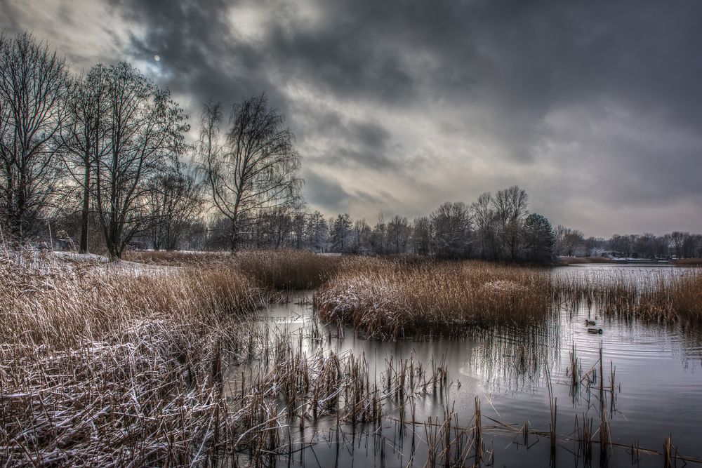 Heinz Schreiber frosten Foto &amp; Bild landschaft, garten